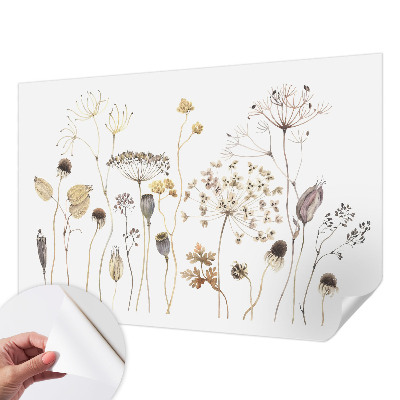 Carta da parati adesiva Fiori selvatici