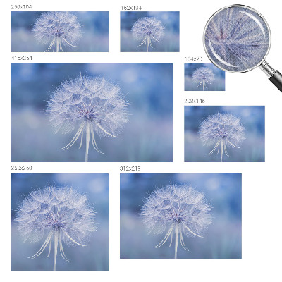 Fotomurale adesivo Delizioso blu