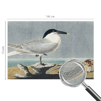 Fotomurale effetto 3D Eleganza ornitologica