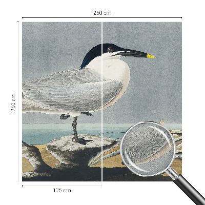 Fotomurale effetto 3D Eleganza ornitologica