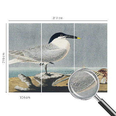 Fotomurale effetto 3D Eleganza ornitologica