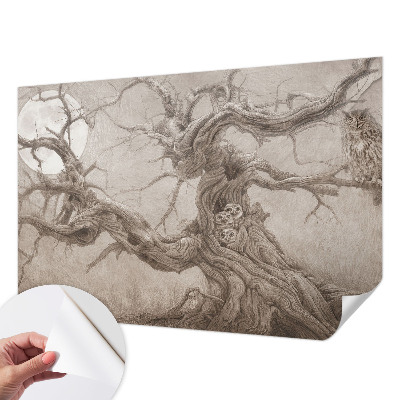 Carta da parati effetto profondità Uccelli notturni