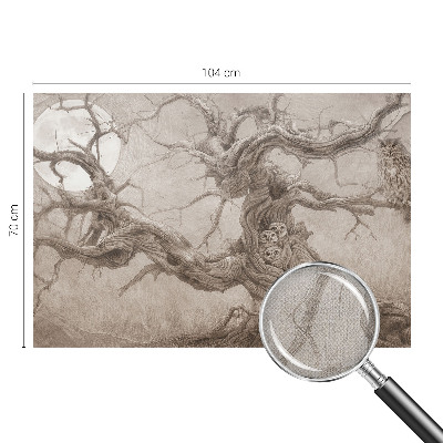 Carta da parati effetto profondità Uccelli notturni