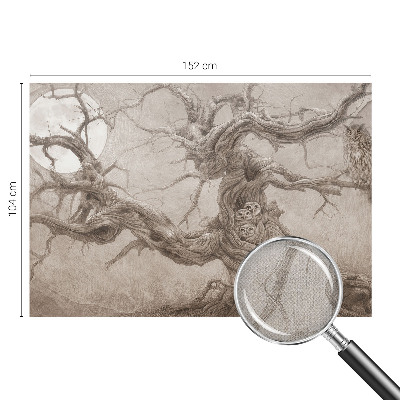 Carta da parati effetto profondità Uccelli notturni