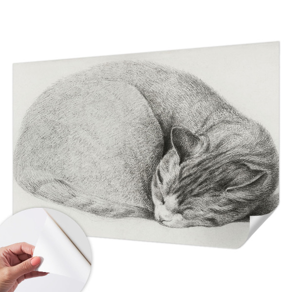 Fotomurale adesivo Gatto raggomitolato