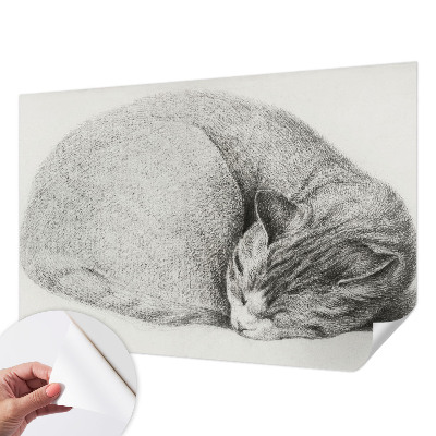 Fotomurale adesivo Gatto raggomitolato