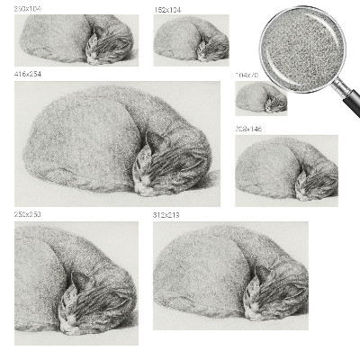 Fotomurale adesivo Gatto raggomitolato