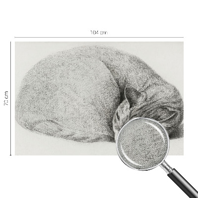 Fotomurale adesivo Gatto raggomitolato