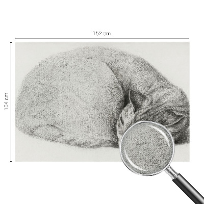 Fotomurale adesivo Gatto raggomitolato