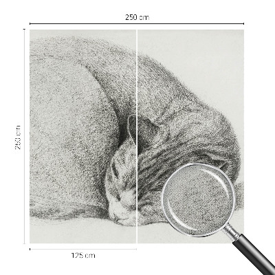 Fotomurale adesivo Gatto raggomitolato