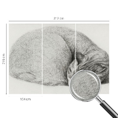 Fotomurale adesivo Gatto raggomitolato