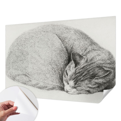 Fotomurale adesivo Gatto raggomitolato