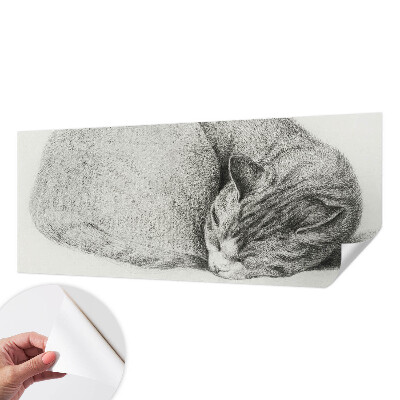Fotomurale adesivo Gatto raggomitolato