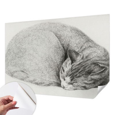 Fotomurale adesivo Gatto raggomitolato