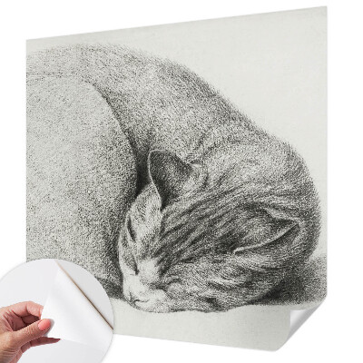 Fotomurale adesivo Gatto raggomitolato