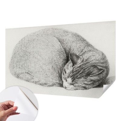 Fotomurale adesivo Gatto raggomitolato