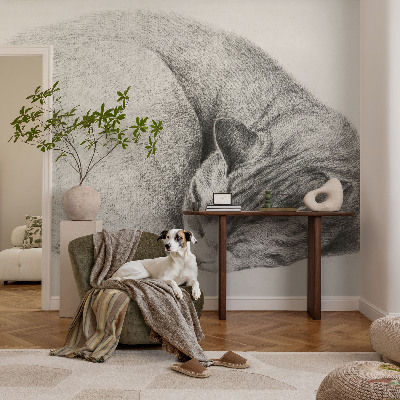 Fotomurale adesivo Gatto raggomitolato