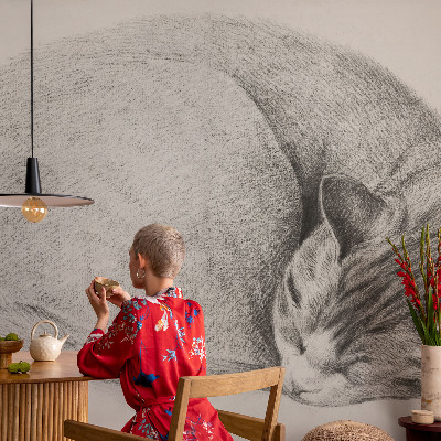 Fotomurale adesivo Gatto raggomitolato