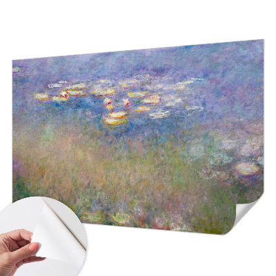 Fotomurale effetto 3D Ninfee