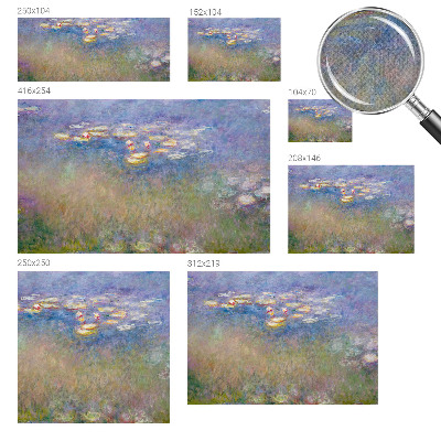 Fotomurale effetto 3D Ninfee