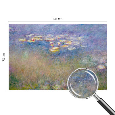 Fotomurale effetto 3D Ninfee