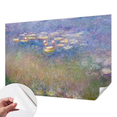 Fotomurale effetto 3D Ninfee