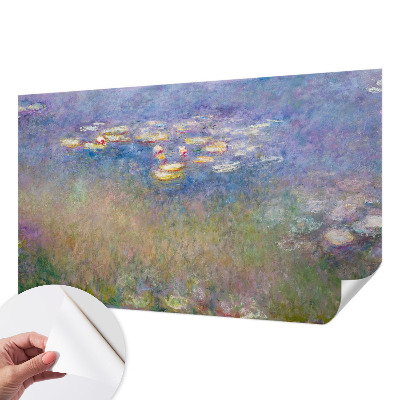 Fotomurale effetto 3D Ninfee