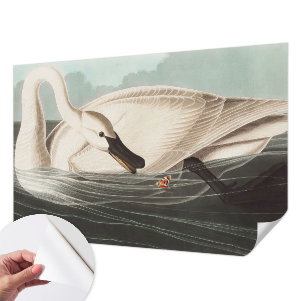 Carta da parati effetto profondità Armonia della natura