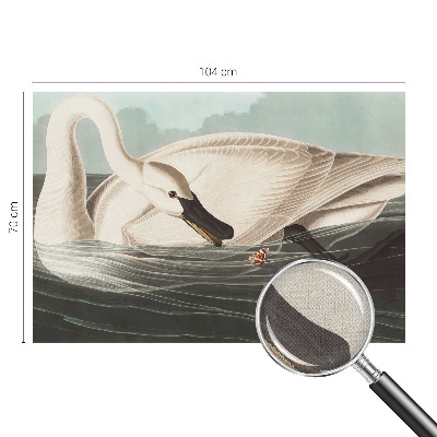 Carta da parati effetto profondità Armonia della natura