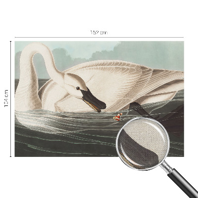 Carta da parati effetto profondità Armonia della natura