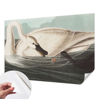 Carta da parati effetto profondità Armonia della natura