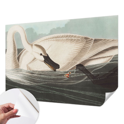 Carta da parati effetto profondità Armonia della natura