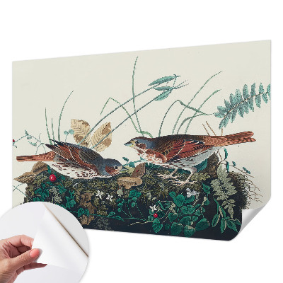 Carta da parati cameretta Il fascino della natura