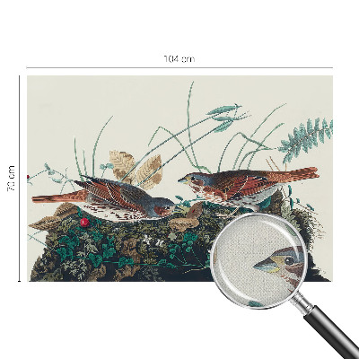 Carta da parati cameretta Il fascino della natura