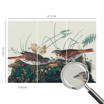 Carta da parati cameretta Il fascino della natura