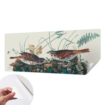 Carta da parati cameretta Il fascino della natura