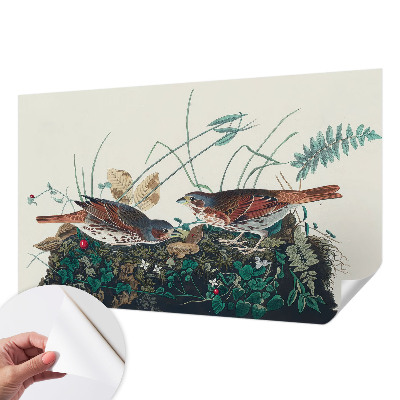 Carta da parati cameretta Il fascino della natura