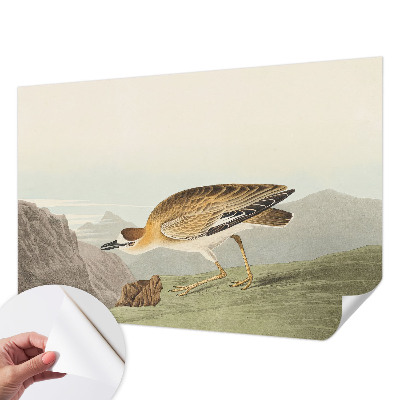 Carta da parati per cameretta Uccello di montagna