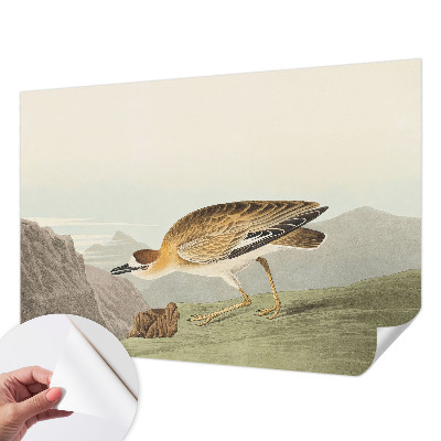 Carta da parati per cameretta Uccello di montagna