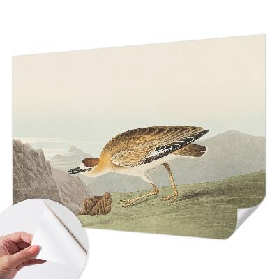 Carta da parati per cameretta Uccello di montagna