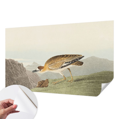 Carta da parati per cameretta Uccello di montagna