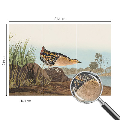 Fotomurale per cameretta Scena naturale