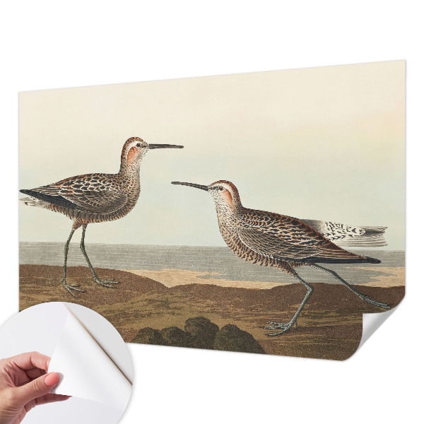 Carta da parati panoramica effetto 3D Sagome di uccelli