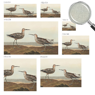 Carta da parati panoramica effetto 3D Sagome di uccelli