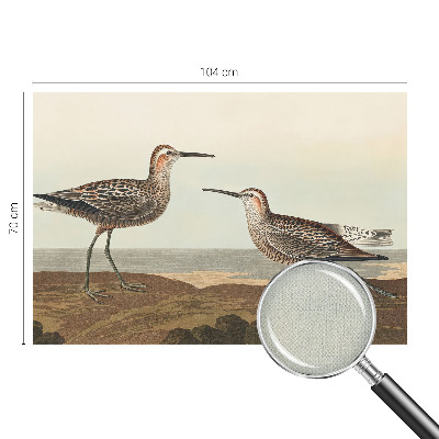 Carta da parati panoramica effetto 3D Sagome di uccelli