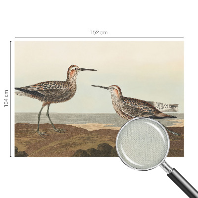 Carta da parati panoramica effetto 3D Sagome di uccelli