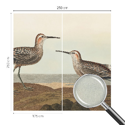 Carta da parati panoramica effetto 3D Sagome di uccelli