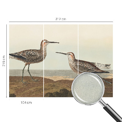 Carta da parati panoramica effetto 3D Sagome di uccelli