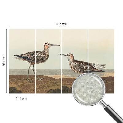 Carta da parati panoramica effetto 3D Sagome di uccelli