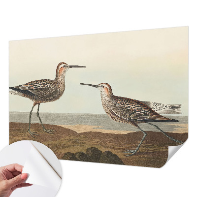 Carta da parati panoramica effetto 3D Sagome di uccelli